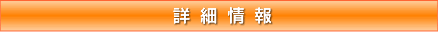 詳細情報